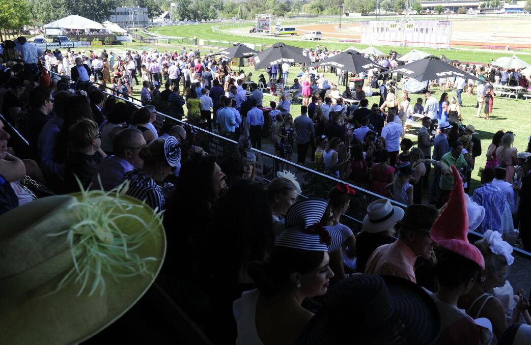 The Thoroughbred Park crowd's currently capped at 2000. Picture: Mel Adams