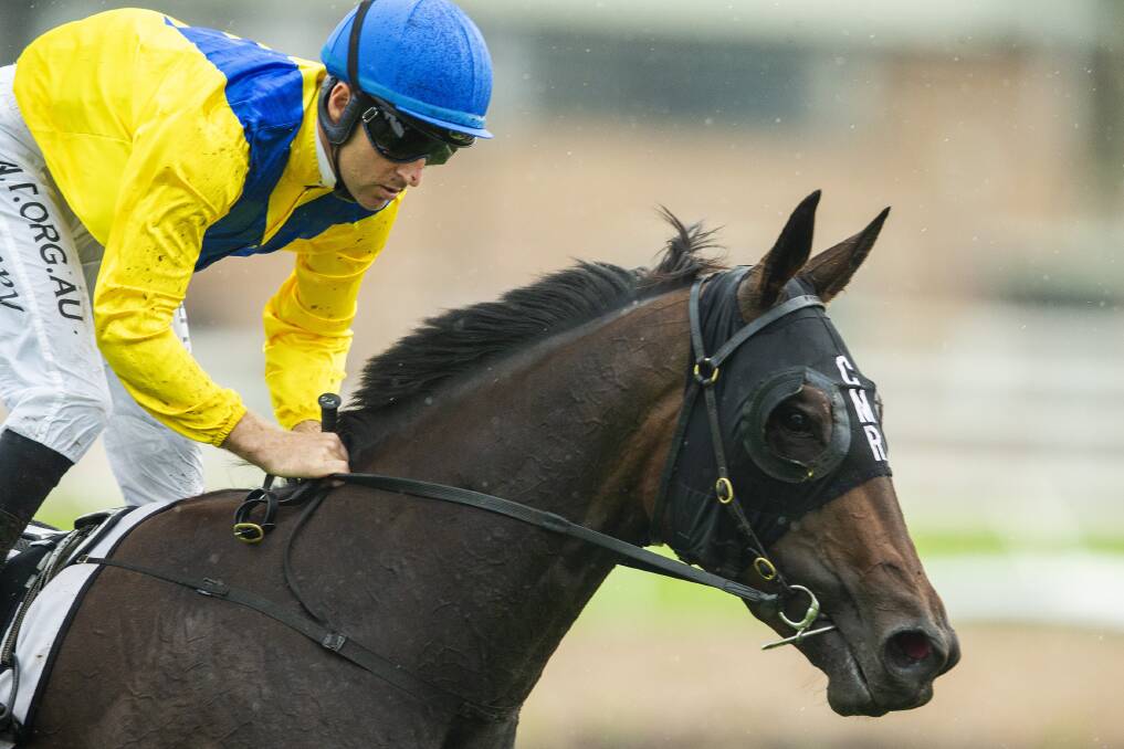 Ciran Maher's Cellsabeel is dual nominated for the Black Opal Stakes. Picture: Getty Images