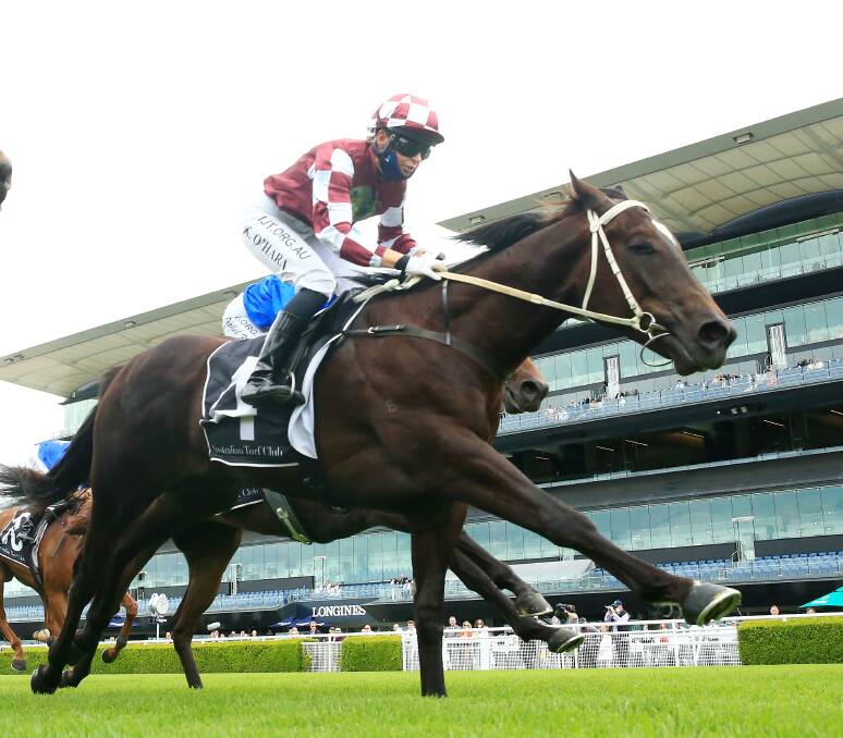 The luck of the draw will determine whether Rocket Tiger runs in the Black Opal. Picture: Getty Images