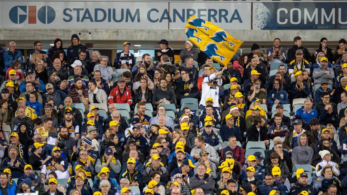 Canberra Stadium is in the mix for two Wallabies Tests. Picture: Sitthixay Ditthavong