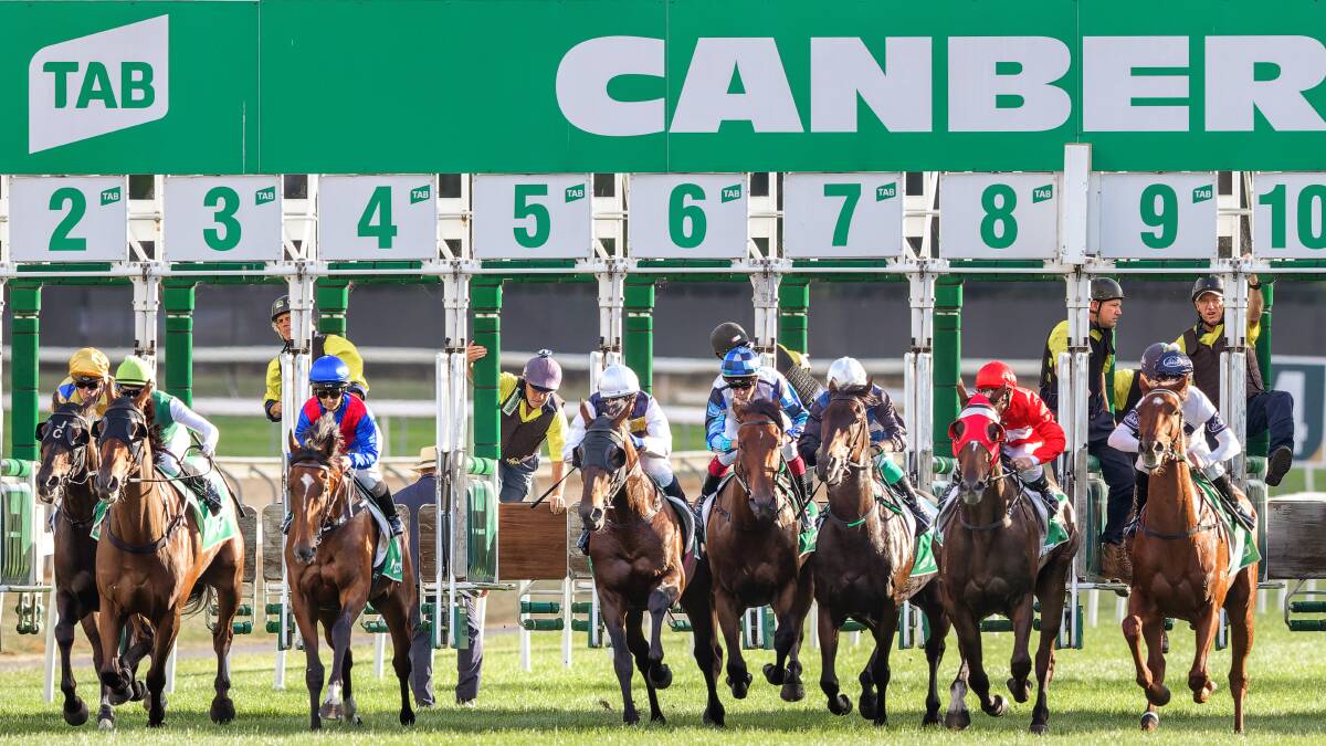 Canberra Racing's insurer will fight the allegations in the ACT Supreme Court. Picture by Sitthixay Ditthavong