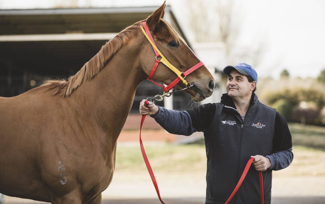 Canberra trainer Paul Jones says they'd happily let the government build them a new track on the other side of the NSW border. Picture by Jamila Toderas