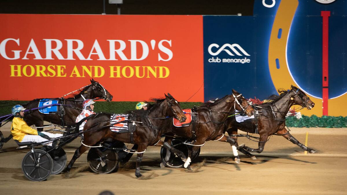 The Jarrod Croker-owned Send It salutes to give the Raiders co-captain his first group 1 victory. Picture: Harness Racing NSW