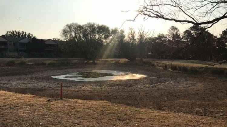 The dams at Belconnen have completely dried up, like this one on the 14th hole.