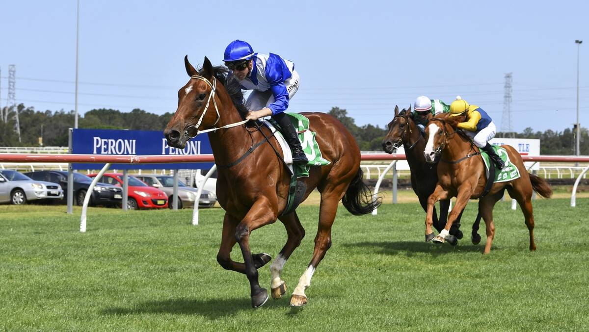 Blueblood filly The Hawkesbury is tipped as the one to beat in Race 7 - Clarendon N Tavern F M Benchmark 64 Handicap at the Hawkesbury race meeting on Wednesday. Picture Bradley Photos