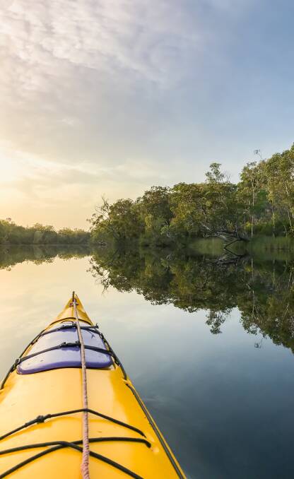 Explore: Noosa is home to the Noosa Everglades, one of only two everglades systems in the world. Picture: Tourism Noosa