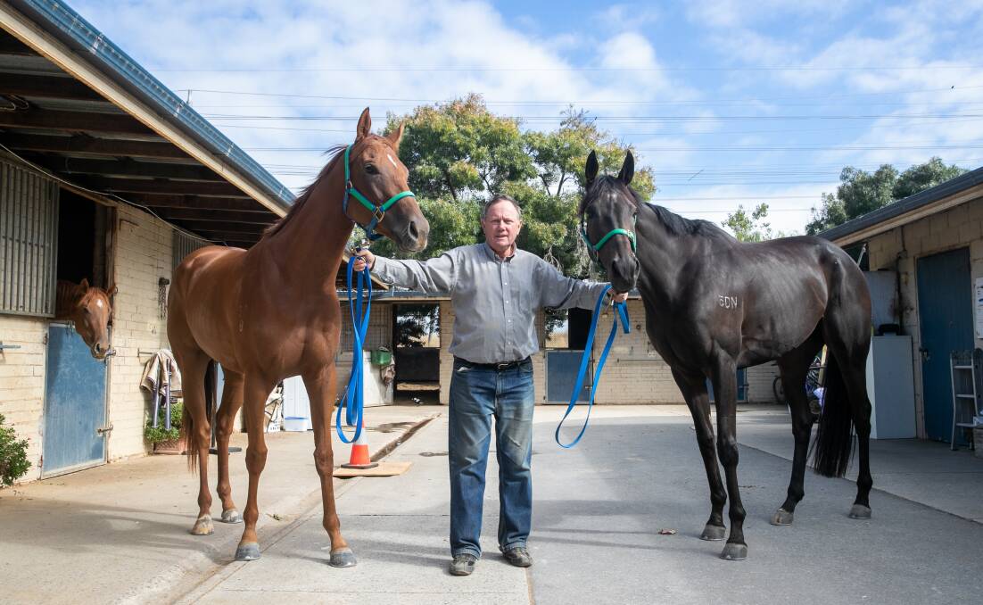 Canberra trainer Norm Garder and his two horses, Miss Ostend in the Black Opal and Upper House in the Canberra Cup. Picture: Keegan Carroll