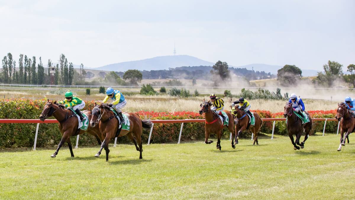Tycoon Tily comes up on the outside to beat Halliday Road in Queanbeyan. Picture: Sitthixay Ditthavong