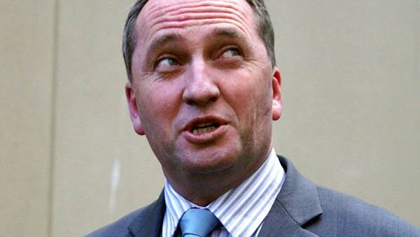 Barnaby Joyce has backed lifting Newstart.