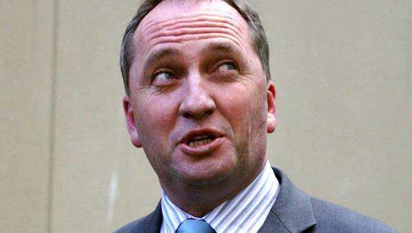 Barnaby Joyce has said the people who died in the NSW bushfires were probably Greens voters.