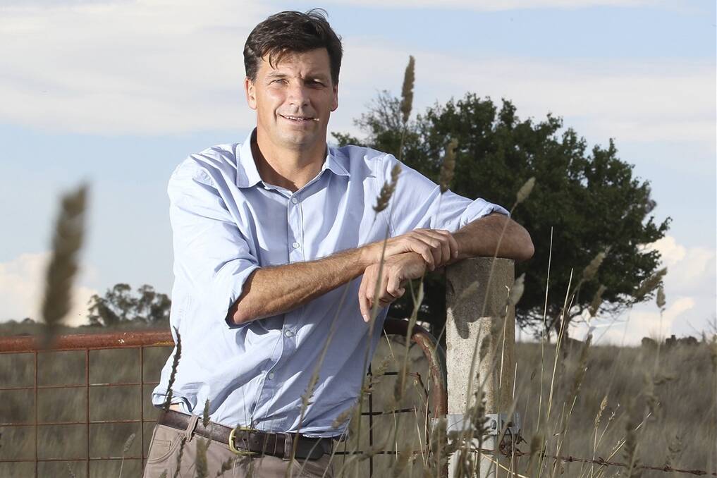 The brother of Liberal MP Angus Taylor is being investigated by the department he oversees. Photo: Rob Homer
