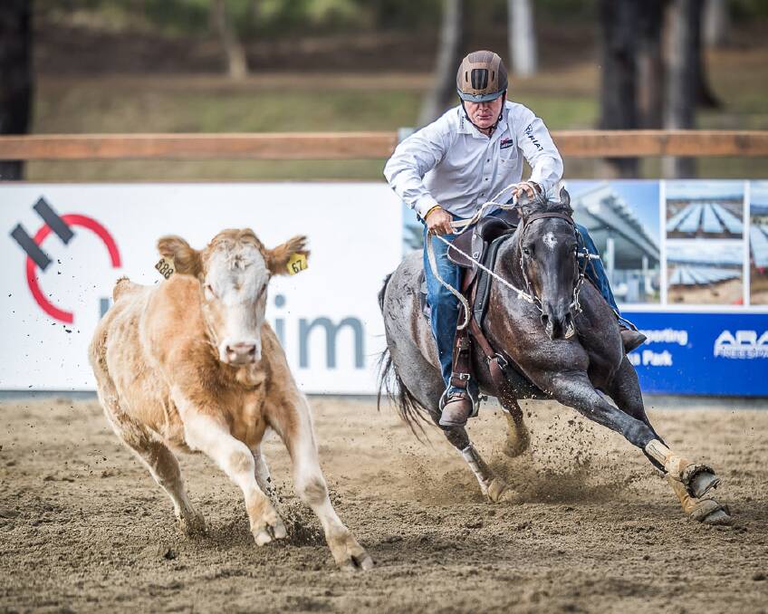 Pete Comiskey and his mare Paris in their winning ride at the World Championship Gold Buckle Campdraft. Photo: Stephen Mowbray 