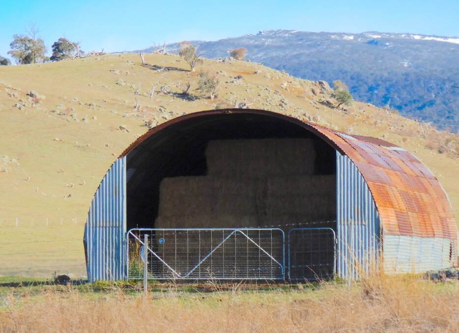 The hay shed beside Kosciuszko Road, north-west of Jindabyne. Photo: Tim the Yowie Man
