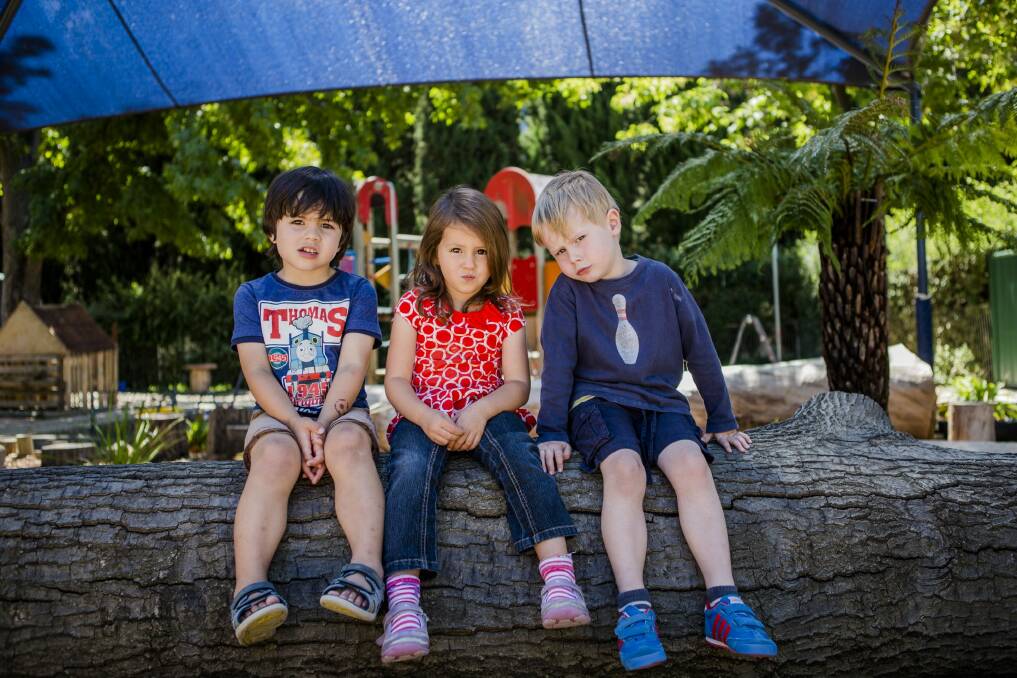 Manuka Occasional Childcare Centre pre-schoolers, from left, James Smiles, Julia Armstrong and Hugo Peat, all 4. Photo:  Jamila Toderas