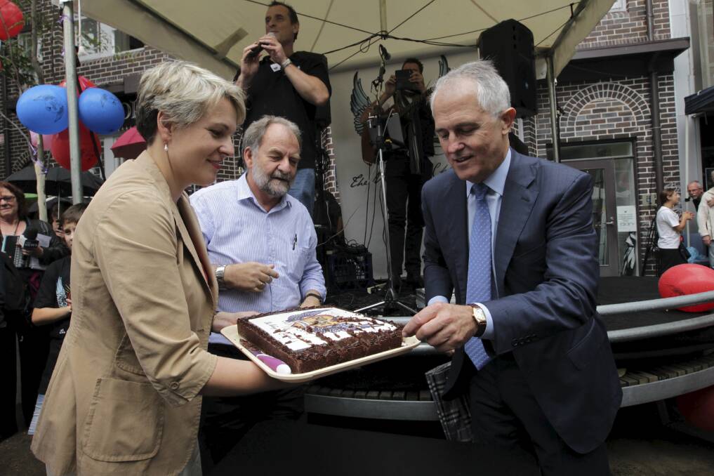 Tanya Plibersek with former prime minister Malcolm Turnbull at a Potts Point community event in 2014. Photo: Dean Sewell