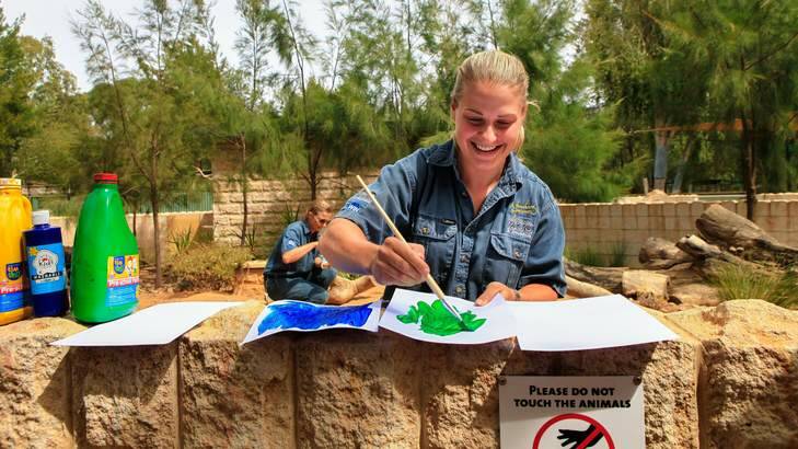 Zookeeper Caitlin Thomas prepares paint for the meerkats. Photo: Katherine Griffiths