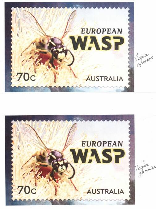 Australia Post's wasps. Incorrect (top) and corrected (below). Photo: Philip Spradbery