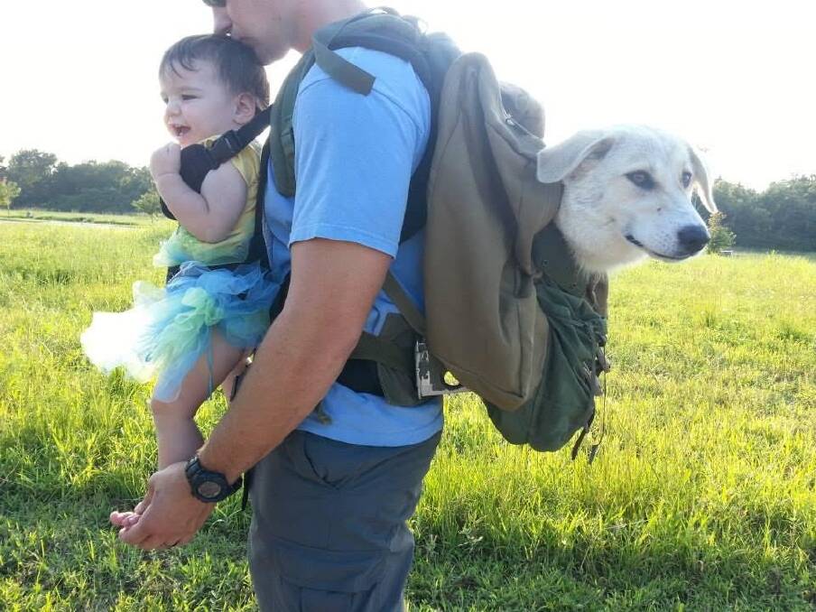 Former US Marine Eric Yarger Snickle Fritz and daughter Charlotte on a fundraising walk. Fritz is a constant companion to Eric who suffers from post-traumatic stress disorder. Photo: Olympia Yarger