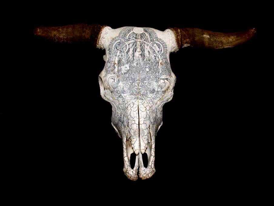 Dan Power's etched bull skull has won the Waterhouse Natural Science Art Prize. Photo: Supplied