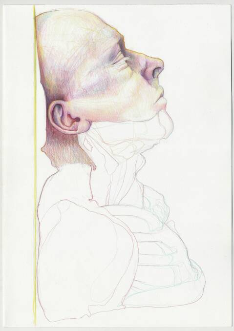 Tony Ameneiro, Wilson Head No 13, in Head over head at Megalo Print Gallery.? Photo: Supplied