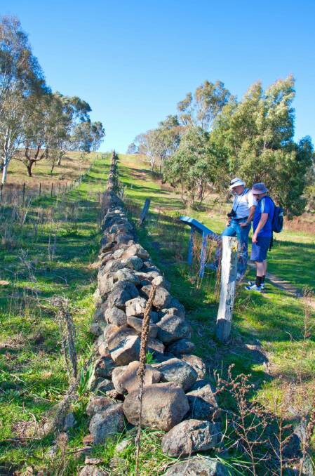 Where in Canberra last week. Congratulations to Glenn Schwinghamer of Kambah, who identified this photo as a 19th-century boundary near Tuggeranong Creek. Photo: Chris Blunt