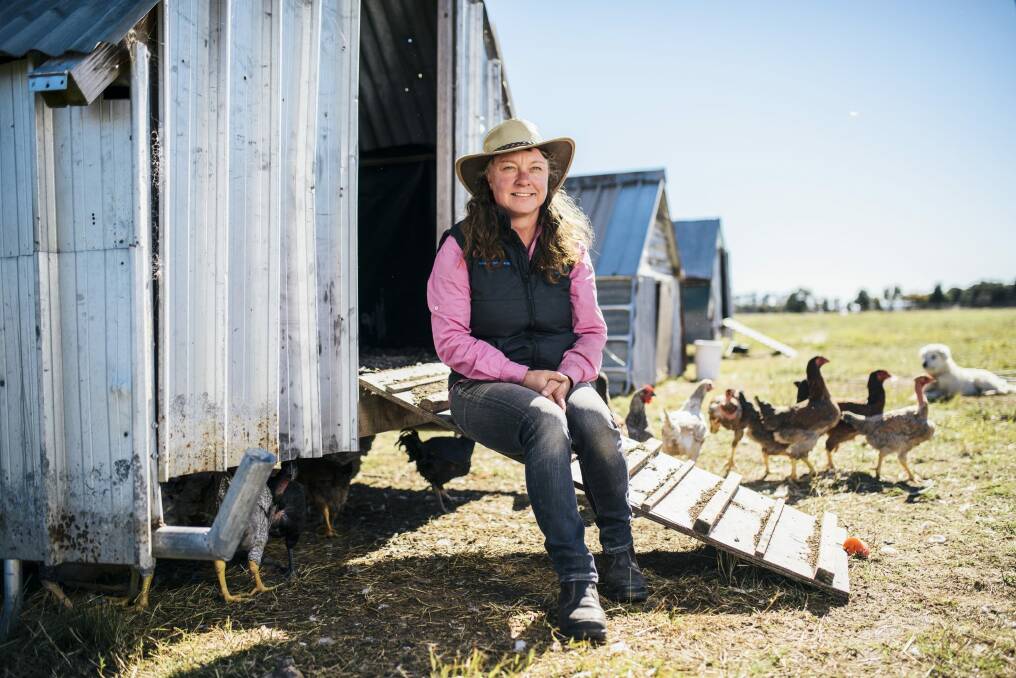 Permaculture farmer, Penny Kothe, at her farm Caroola, which she is opening to the public on Sunday for international permaculture day. Photo: Rohan Thomson