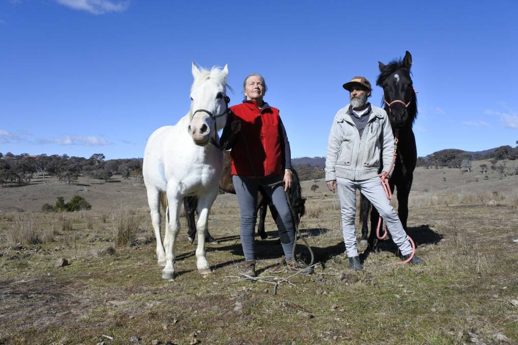 Kerrie and Russell Whitford with their horses at home at Fernleigh Park. The couple are unhappy with drone delivery testing by Project Wing. Photo: Elliot Williams