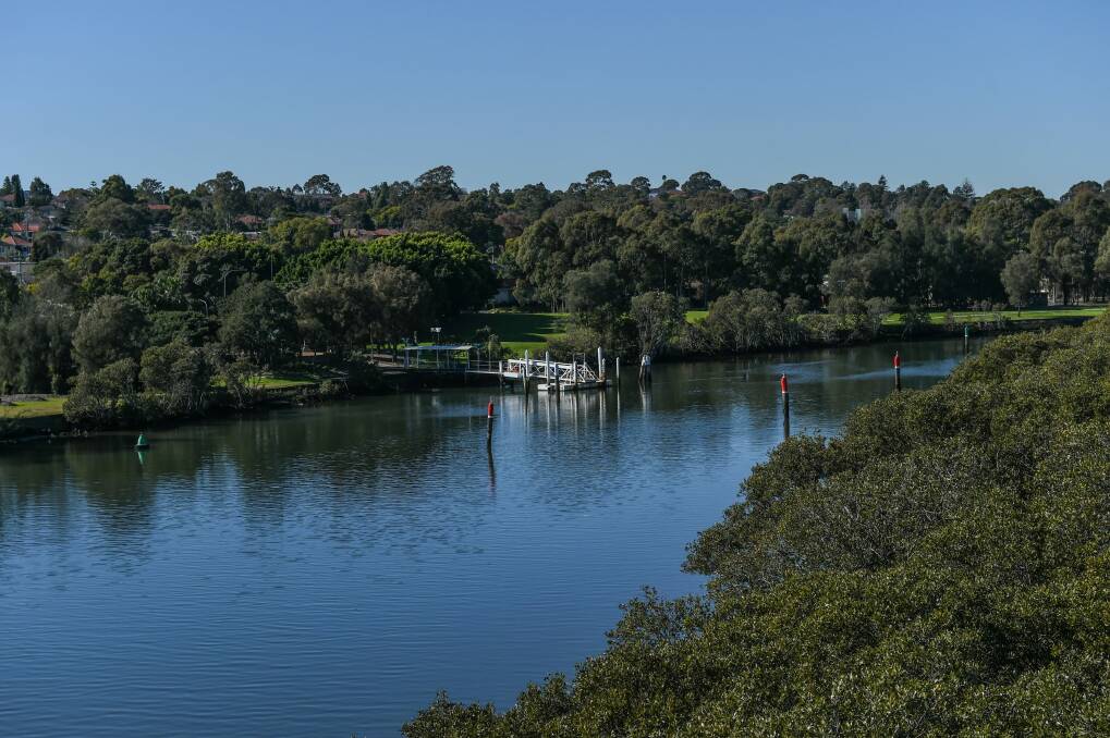 Saltwater mosquitoes flock to wetlands along the Parramatta River in summertime.  Photo: Brendan Esposito