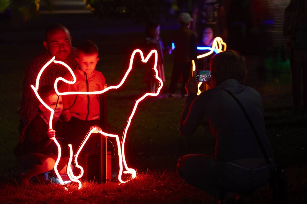 Another perspective of Neon Dog Park, part of this year's Enlighten Festival. Photo: Supplied
