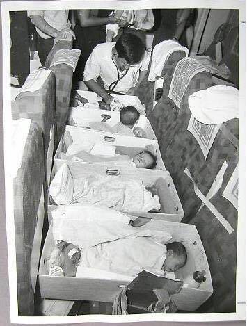 Infants on a flight to Australia from Vietnam in 1975 as part of Operation Babylift. Canberra man Rohan Samara jokes he is the baby on its stomach looking around thinking "where the hell am I?'' but he's not exactly sure which baby he was. Photo: Supplied