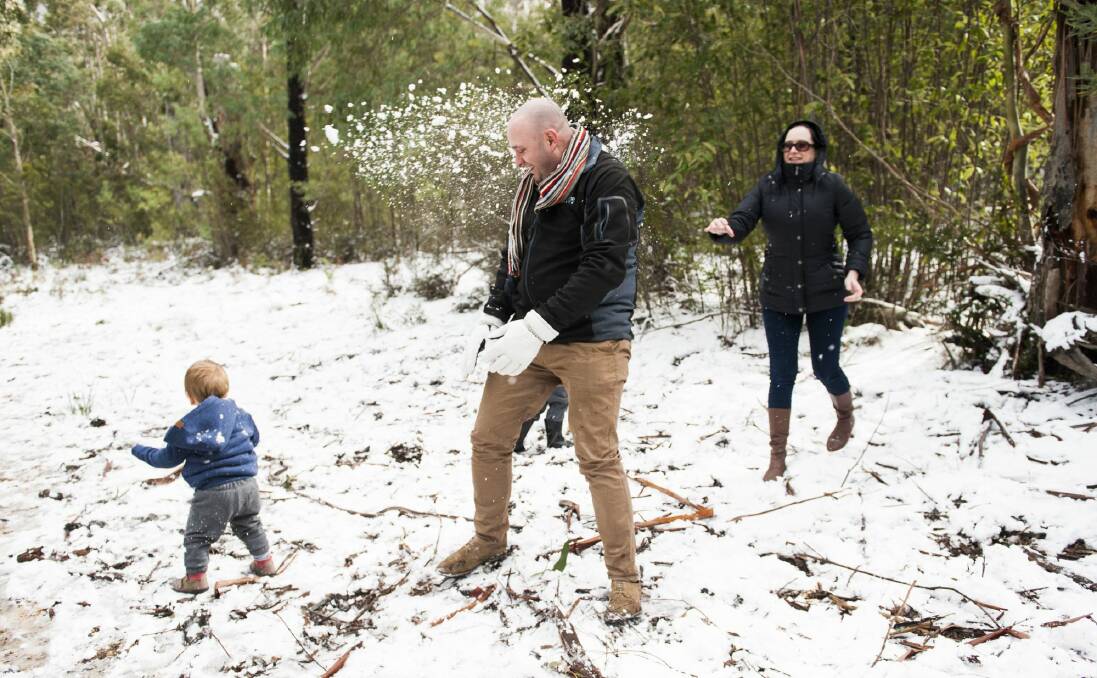 James, 1, Owen and Annelie Duffell from Adelaide enjoy the snow at Tidbinbilla. Photo: Elesa Kurtz