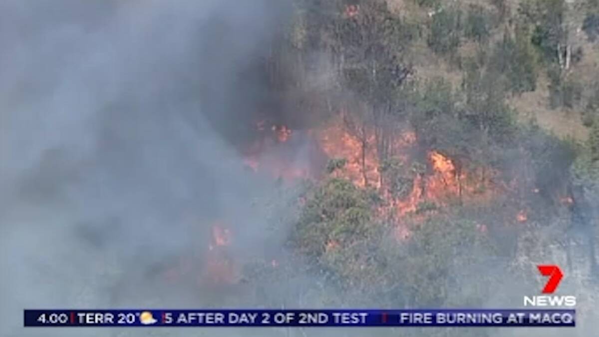The fire in Lane Cove National Park broke out on Tuesday morning. Photo: Seven News
