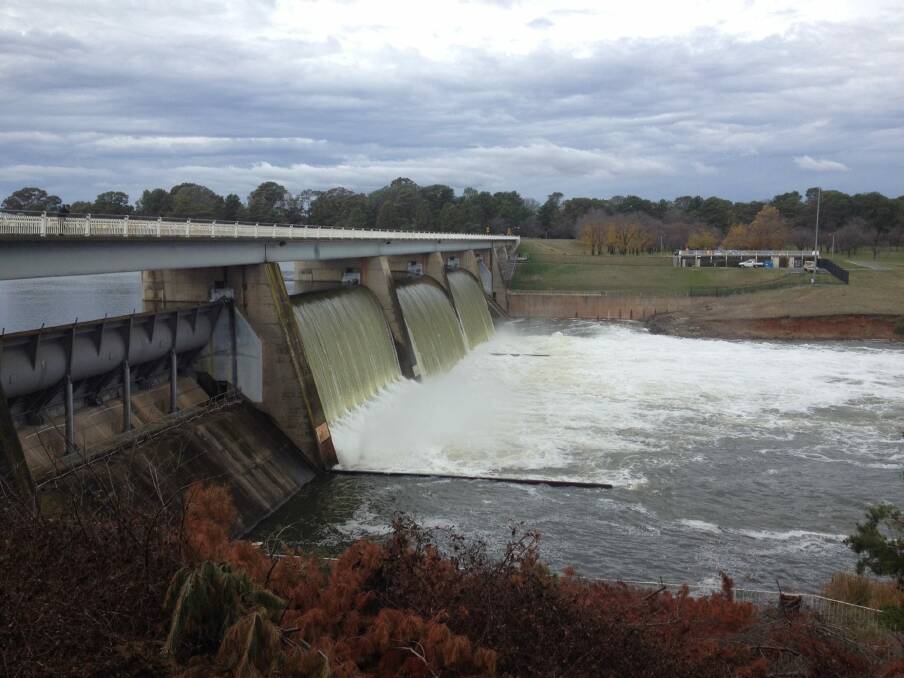 Water being released from Scrivener Dam on Monday, June 6 2016. Photo: Edward Boydell