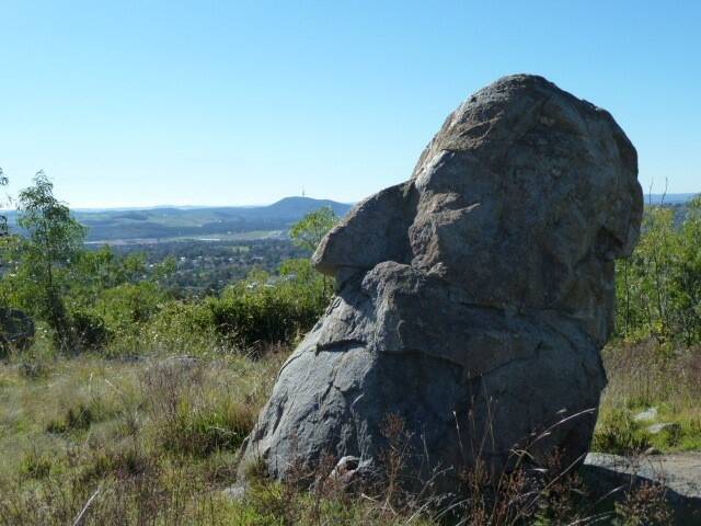 Old man atop Cooleman Ridge. Photo: Elizabeth Brouwer