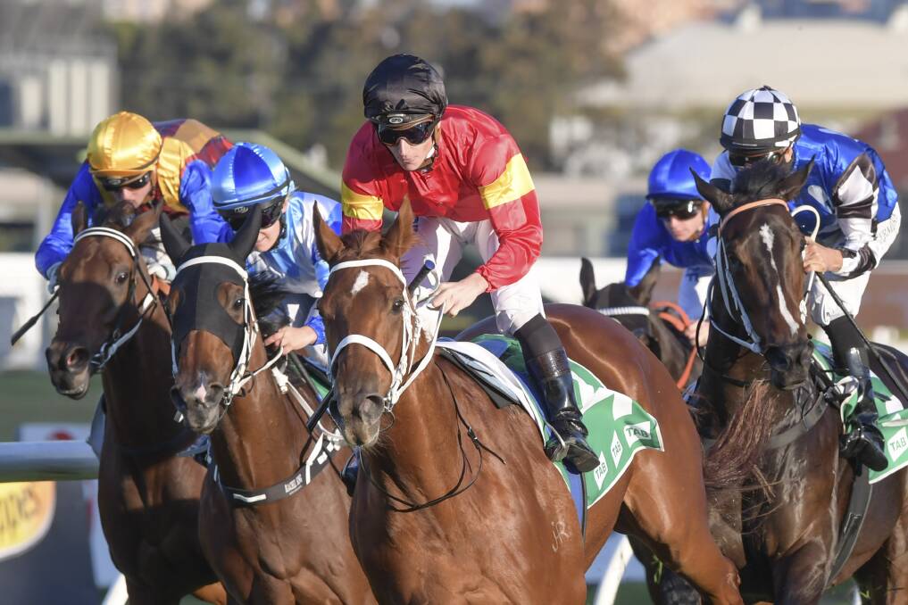 No joking: James McDonald pilots I Am Serious to victory  as part of a winning double at Rosehill. Photo: AAP