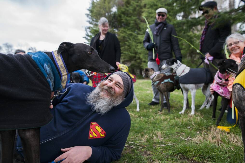 Darren Bulmer with his rescue greyhound Bentley.  Photo: Rohan Thomson