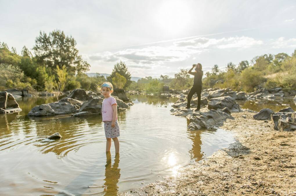 Tuggeranong environmentalist  Matthew Frawley scopes for a scarlet robin as four-year-old daughter Ruby enjoys a paddle in the  Murrumbidgee River. Photo: Jay Cronan