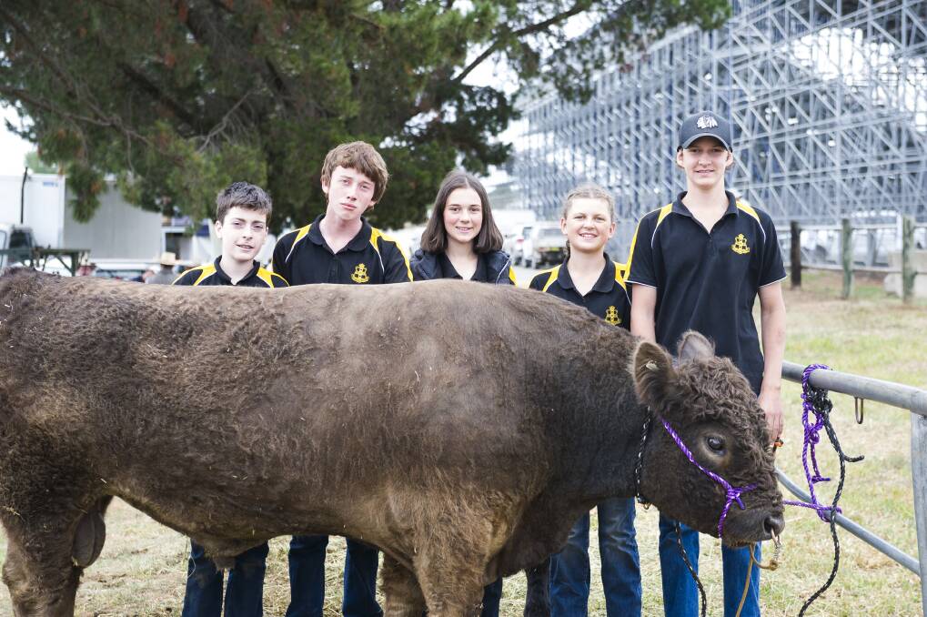 For sale. Monty plus The Canberra Show preview story. Orange High School students Henry Davenport, Ryan Buttriss, Charlotte Mckay, Cennedi Dally, and Tom Middleton from Orange High School. Photo: Dion Georgopoulos