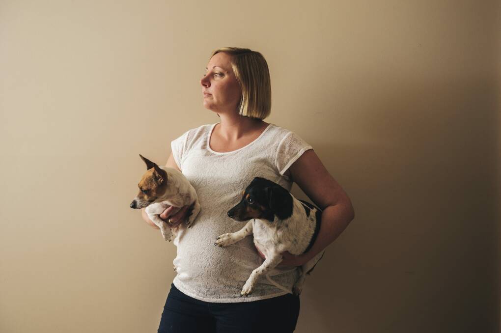 Dunlop mother-to-be Lauren Black  with her two injured dogs Lolli and Alfie. They were attacked by two roaming malamute dogs. Mrs Black is too scared to walk her dogs in Dunlop. Photo: Rohan Thomson