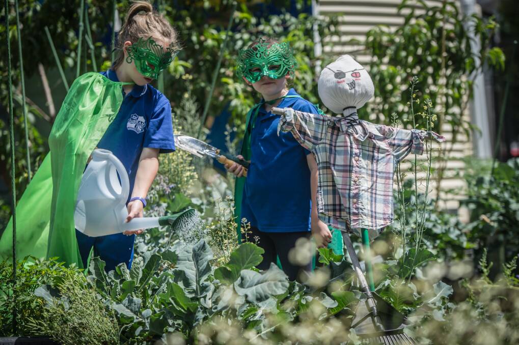 Garran Primary was named the ACT's sustainable school of the year for 2018. Each class has an eco detective (from left)  Emilie Dhu, 7, and Zara Herring, 9.   Photo: Karleen Minney