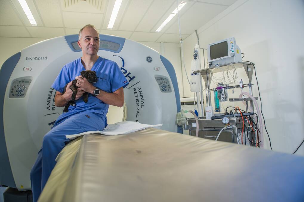 Fyshwick veterinarian Dr Jacob Michelsen believes reform is needed in the vet industry.  Photo: Karleen Minney