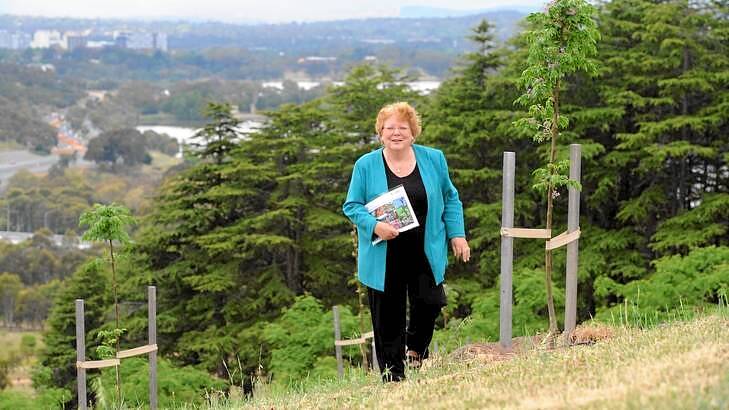 Friends of the National Arboretum chair, Jocelyn Plovits, walks among a young forest White Cedar saplings with a 90-year-old forest of Himalayan Cedars behind her. Photo: Graham Tidy