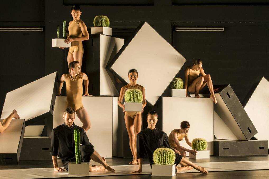 Sydney Dance Company's Cacti is coming to Canberra in May. Photo: Peter Greig