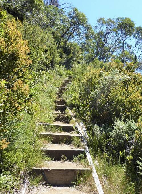 Stairs, stairs and more stairs on the Merritts Nature Track. Photo: Tim the Yowie Man
