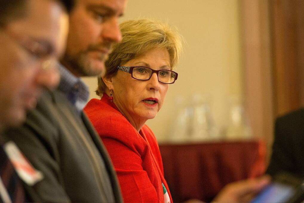 Former Greens leader Christine Milne. Photo: Jesse Marlow