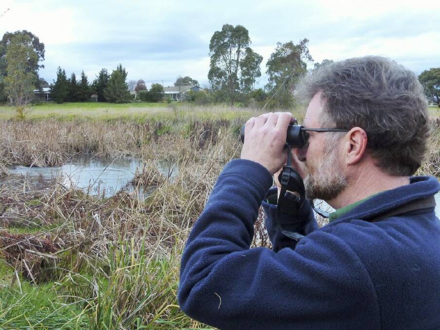 Birdwatcher Duncan McCaskill at the location on Ginninderra Creek where he first spotted the Australasian bittern. Photo: Tim the Yowie Man