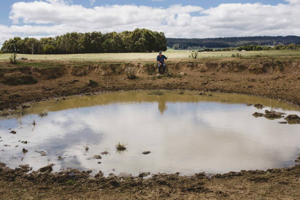 Prior to good rain at the end of February, the farm dams on Ian Cargill's Braidwood property were completely dry. Photo: Jamila Toderas