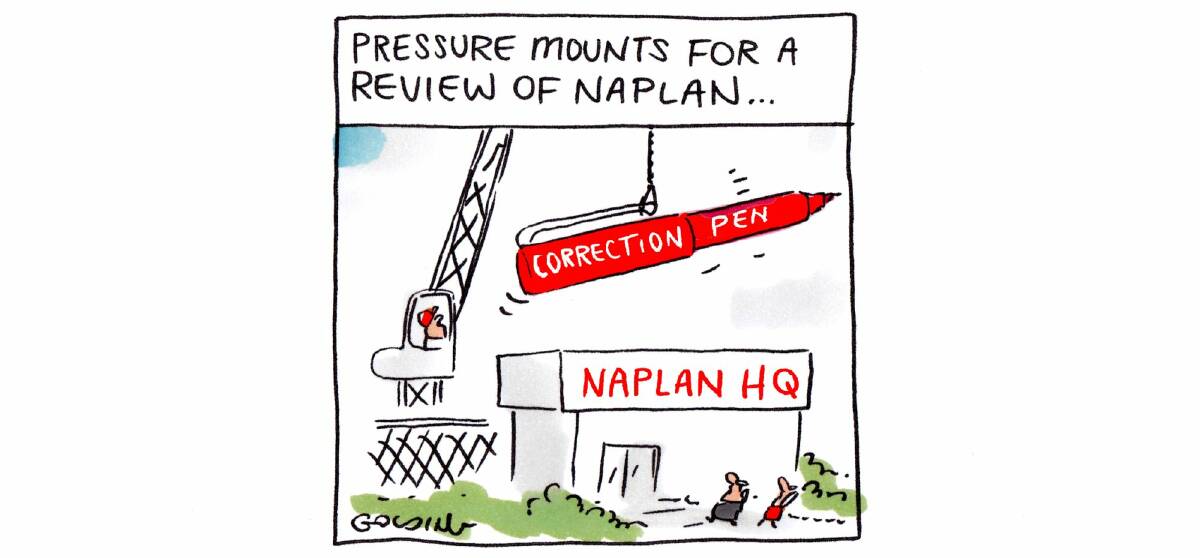 NAPLAN does not capture everything that matters in school education. Photo: Matt Golding