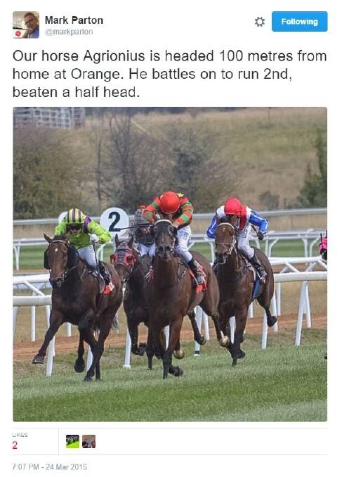 Liberal racing spokesman Mark Parton's tweet about his horse, Agrionius, second in a race at Orange.