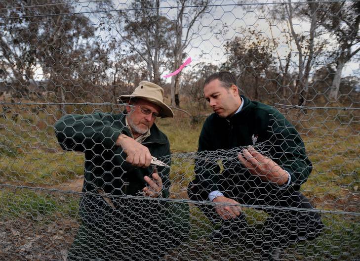 Mulligans Flat  Sanctuary ranger in-charge Peter Mills, left, and TAMS Parks and Conservation Service executive director Daniel Iglesias, with one of the holes cut in the fence  at the reserve in Gungahlin. Photo: Richard Briggs